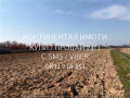 Продава  Земеделска земя област Пазарджик , с. Гелеменово , 12 дка | 89525236 - изображение [5]