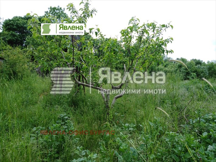 Продава КЪЩА, с. Фазаново, област Бургас, снимка 14 - Къщи - 47870532