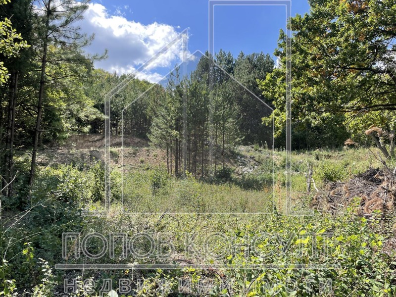 Till salu  Komplott region Plovdiv , Belastjica , 588 kvm | 74236904 - bild [3]