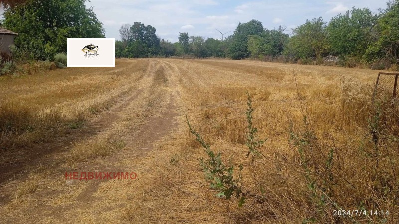 Na prodej  Spiknutí oblast Dobrich , Balgarevo , 1300 m2 | 40628672 - obraz [5]