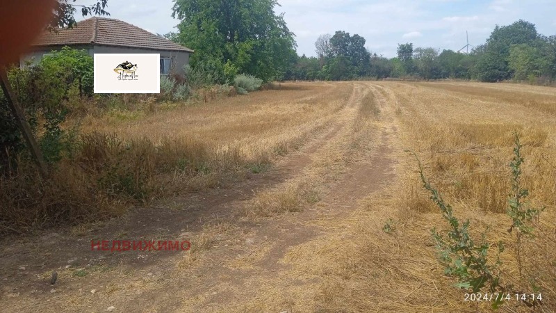 Na prodej  Spiknutí oblast Dobrich , Balgarevo , 1300 m2 | 40628672 - obraz [4]