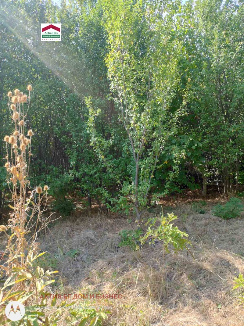Na sprzedaż  Działka region Sofia , Cherakowo , 1534 mkw | 26807830 - obraz [8]