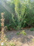 Продава ПАРЦЕЛ, с. Хераково, област София област, снимка 7