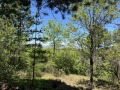 Продава ПАРЦЕЛ, гр. София, с. Герман, снимка 3