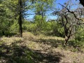 Продава ПАРЦЕЛ, гр. София, с. Герман, снимка 5