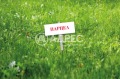 Продава ПАРЦЕЛ, гр. София, м-т Детски град, снимка 1