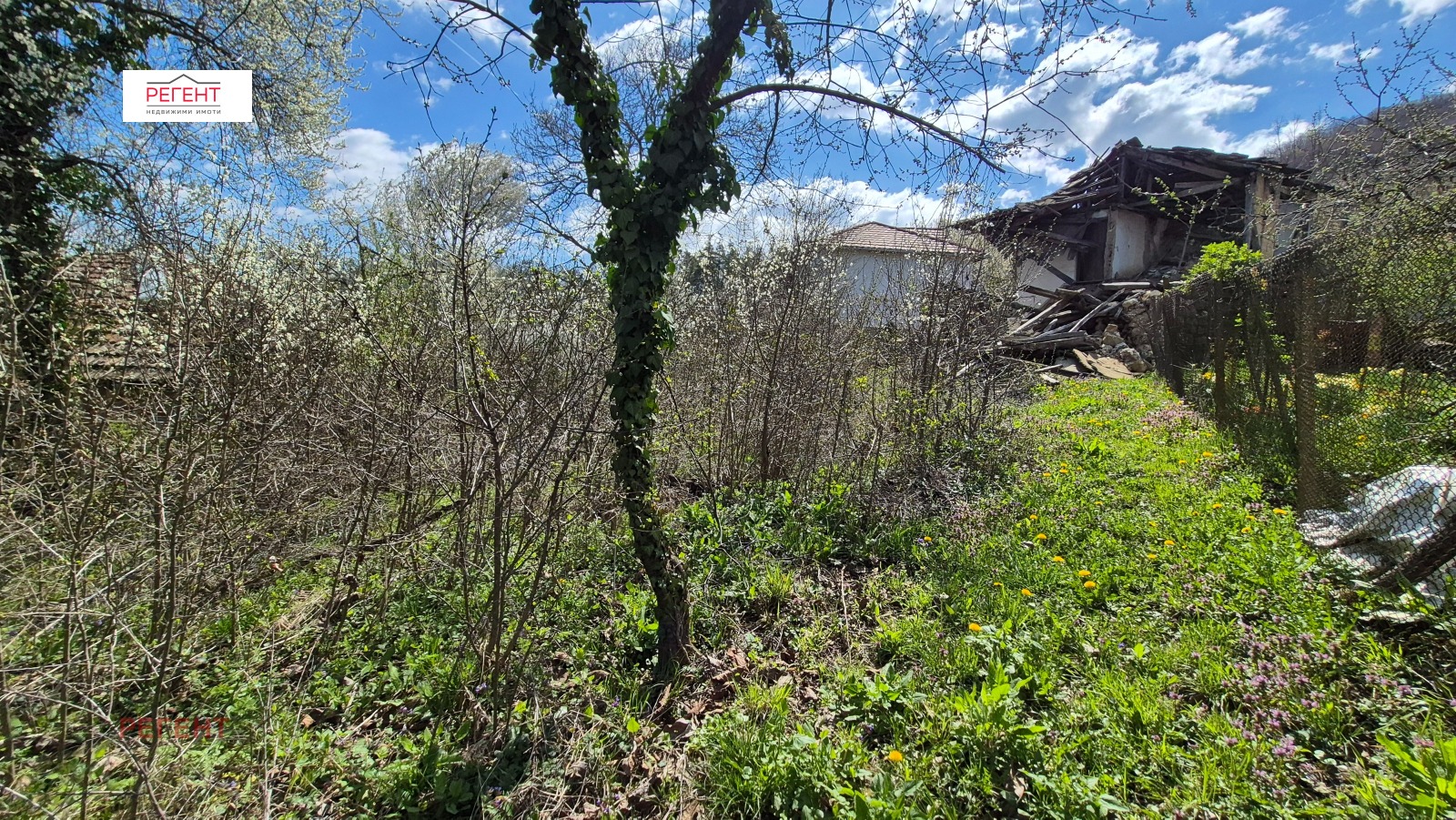 ������� ������ | Imot.bg � ����������� 7