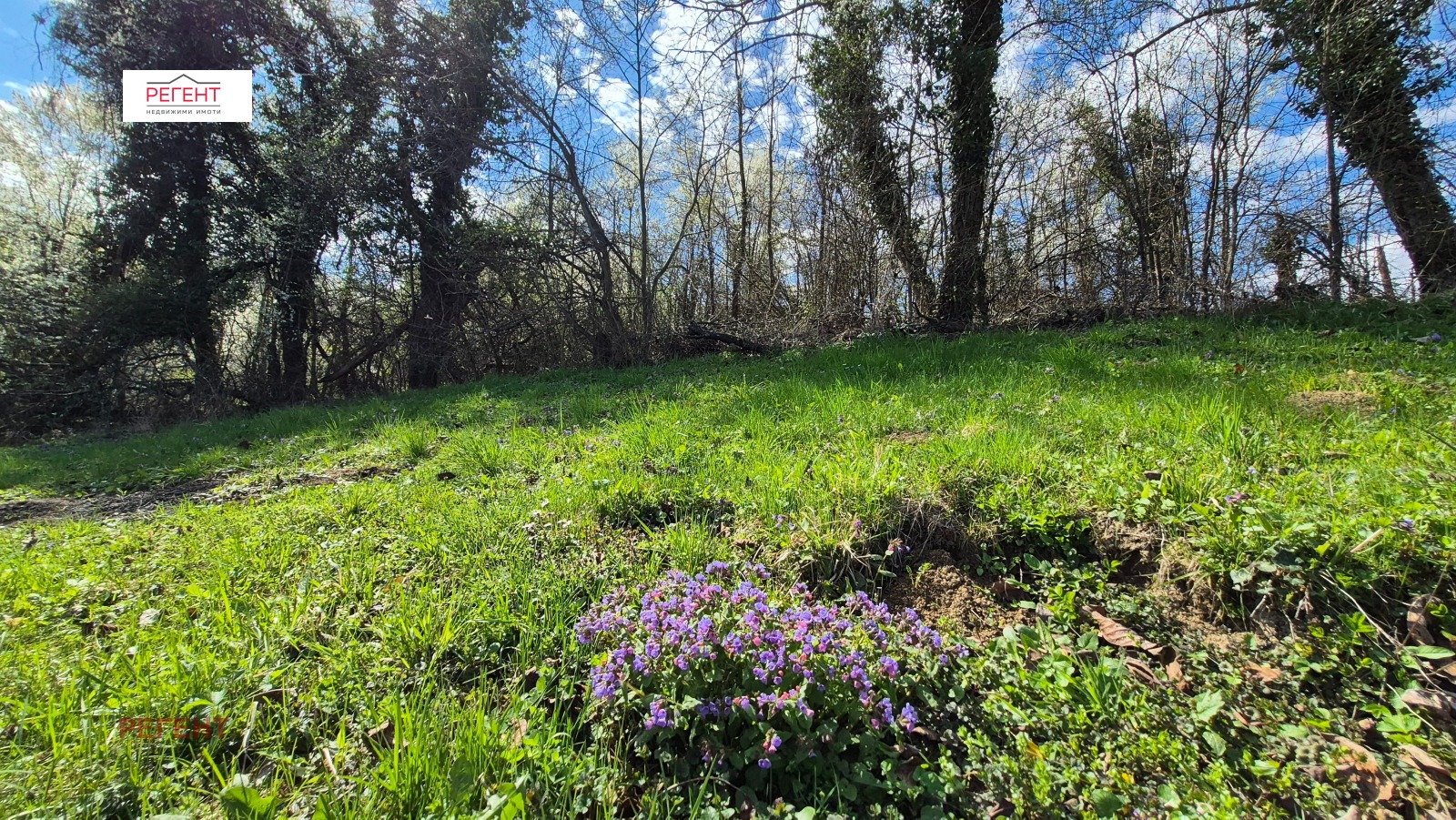 ������� ������ | Imot.bg � ����������� 3