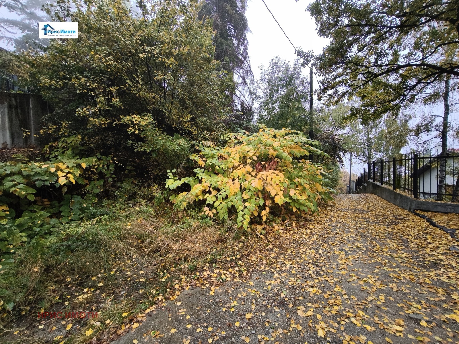 ������� ������ | Imot.bg � ����������� 5
