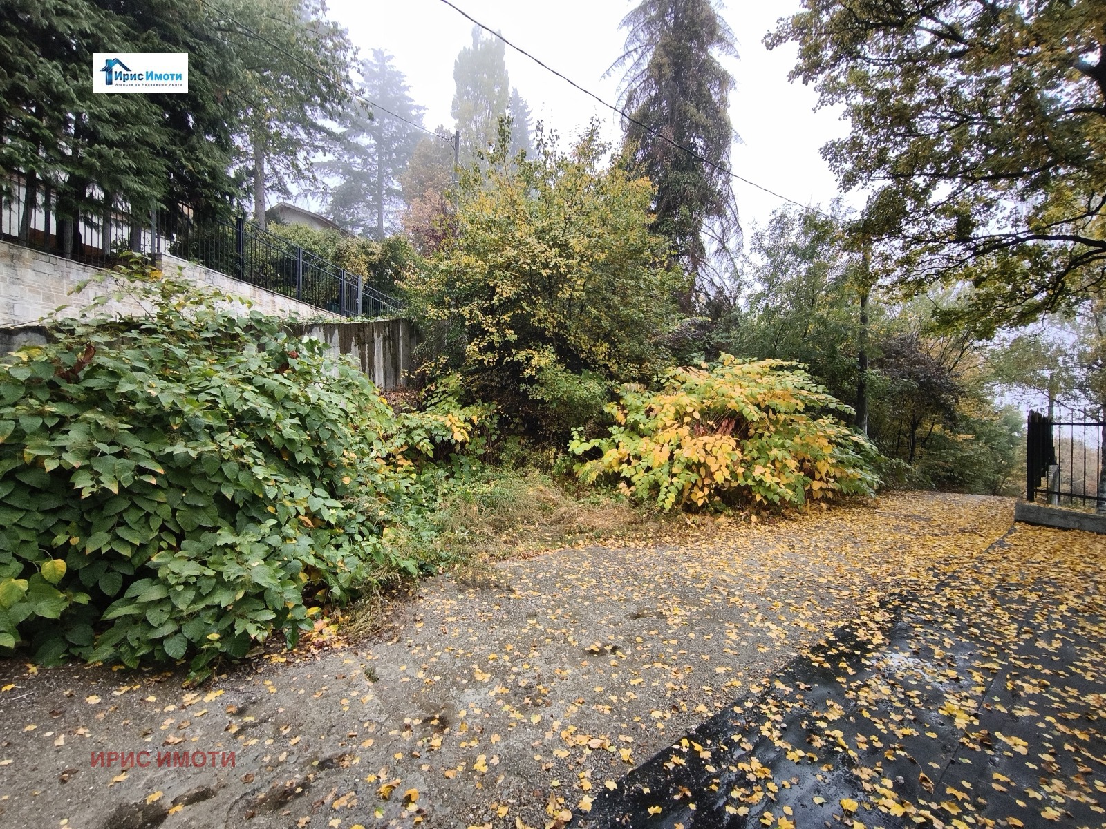 ������� ������ | Imot.bg � ����������� 2