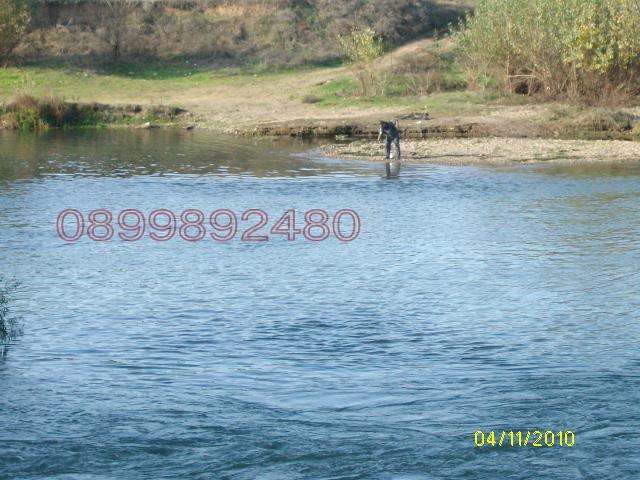 Продава КЪЩА, с. Софрониево, област Враца, снимка 10 - Къщи - 52786371