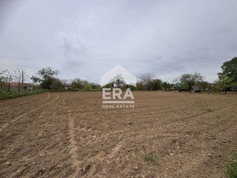 Продава ПАРЦЕЛ, с. Калипетрово, област Силистра, снимка 3 - Парцели - 54529240