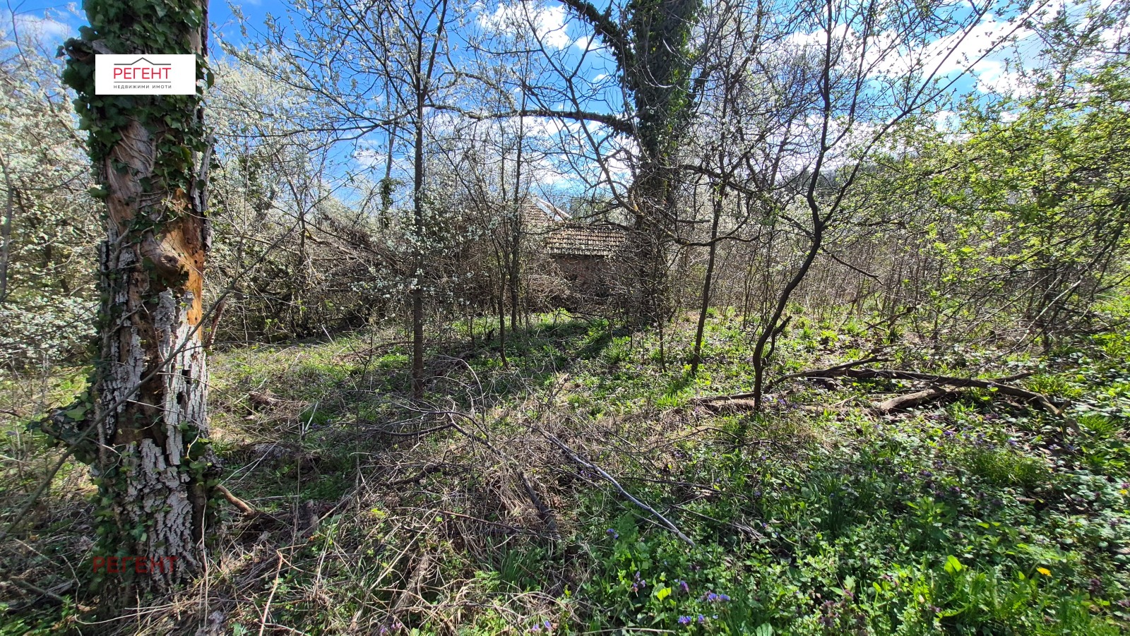 Продава ПАРЦЕЛ, с. Рачевци, област Габрово, снимка 8 - Парцели - 54130818