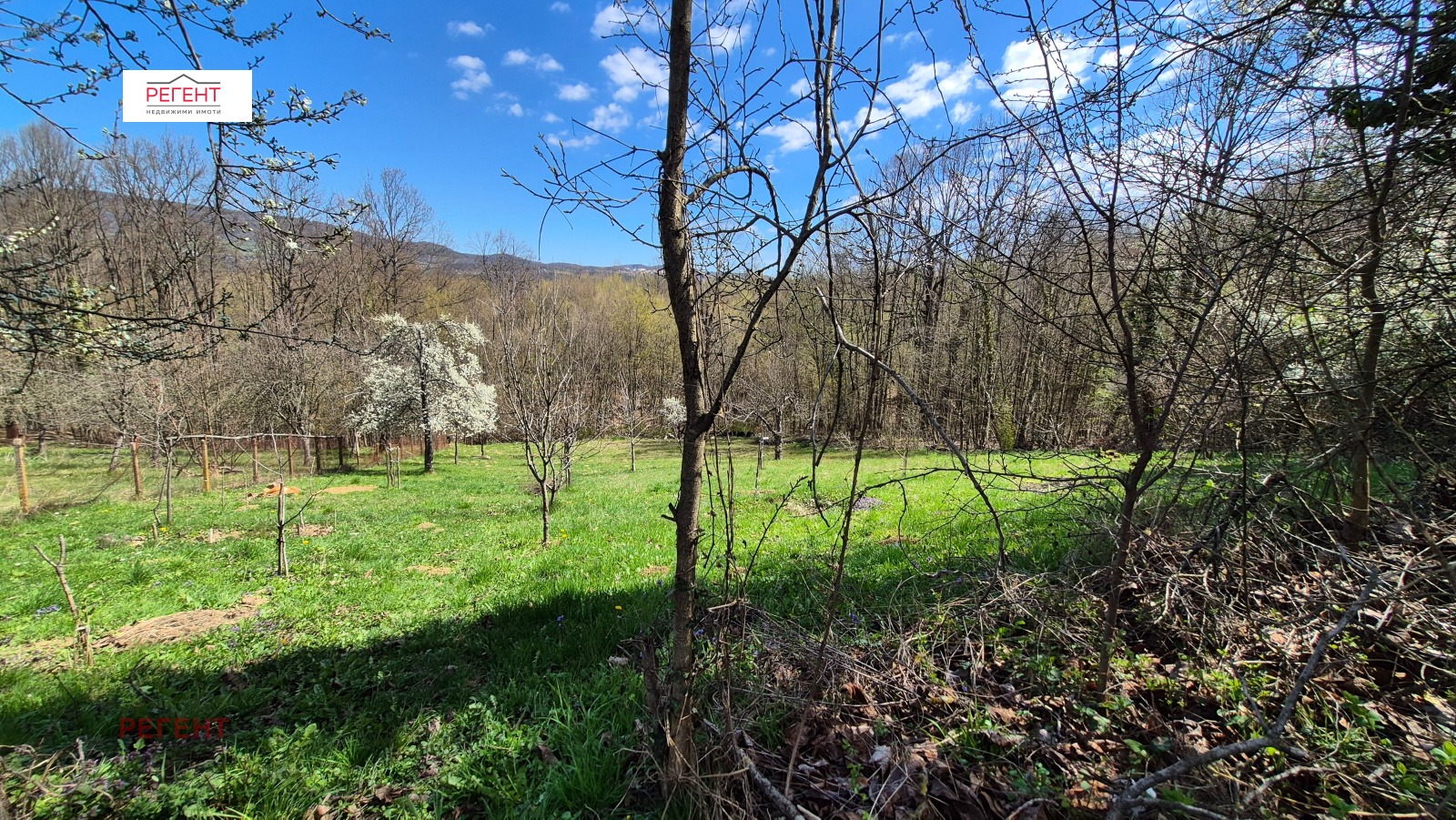 Продава ПАРЦЕЛ, с. Рачевци, област Габрово, снимка 12 - Парцели - 54130818