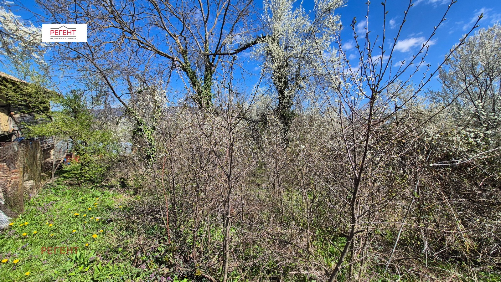 Продава ПАРЦЕЛ, с. Рачевци, област Габрово, снимка 6 - Парцели - 54130818