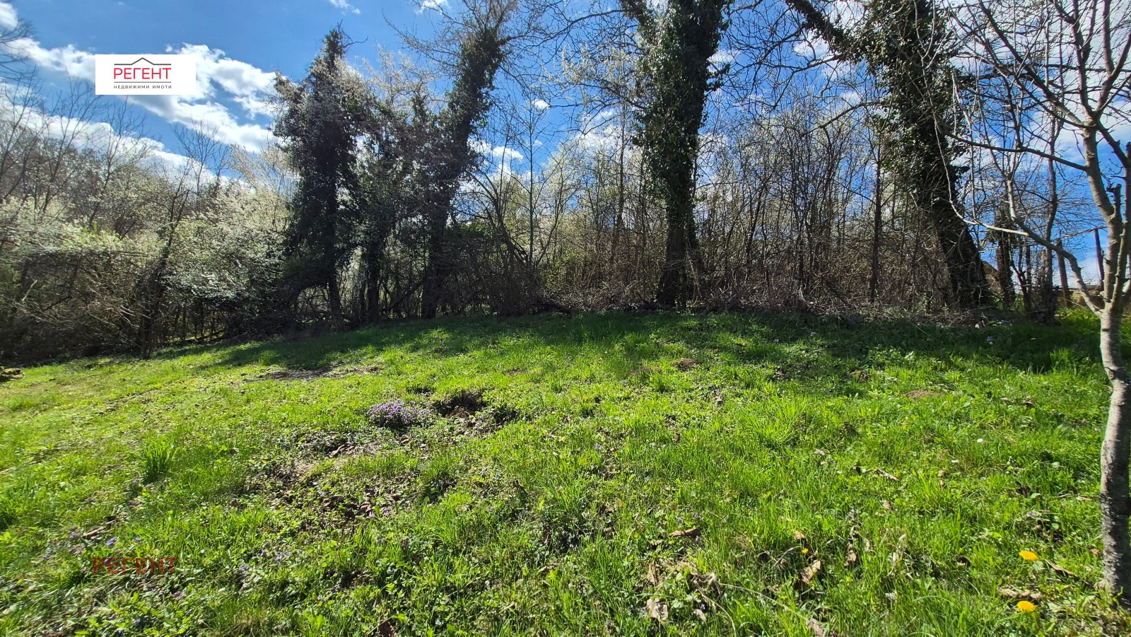 Продава ПАРЦЕЛ, с. Рачевци, област Габрово, снимка 9 - Парцели - 54130818