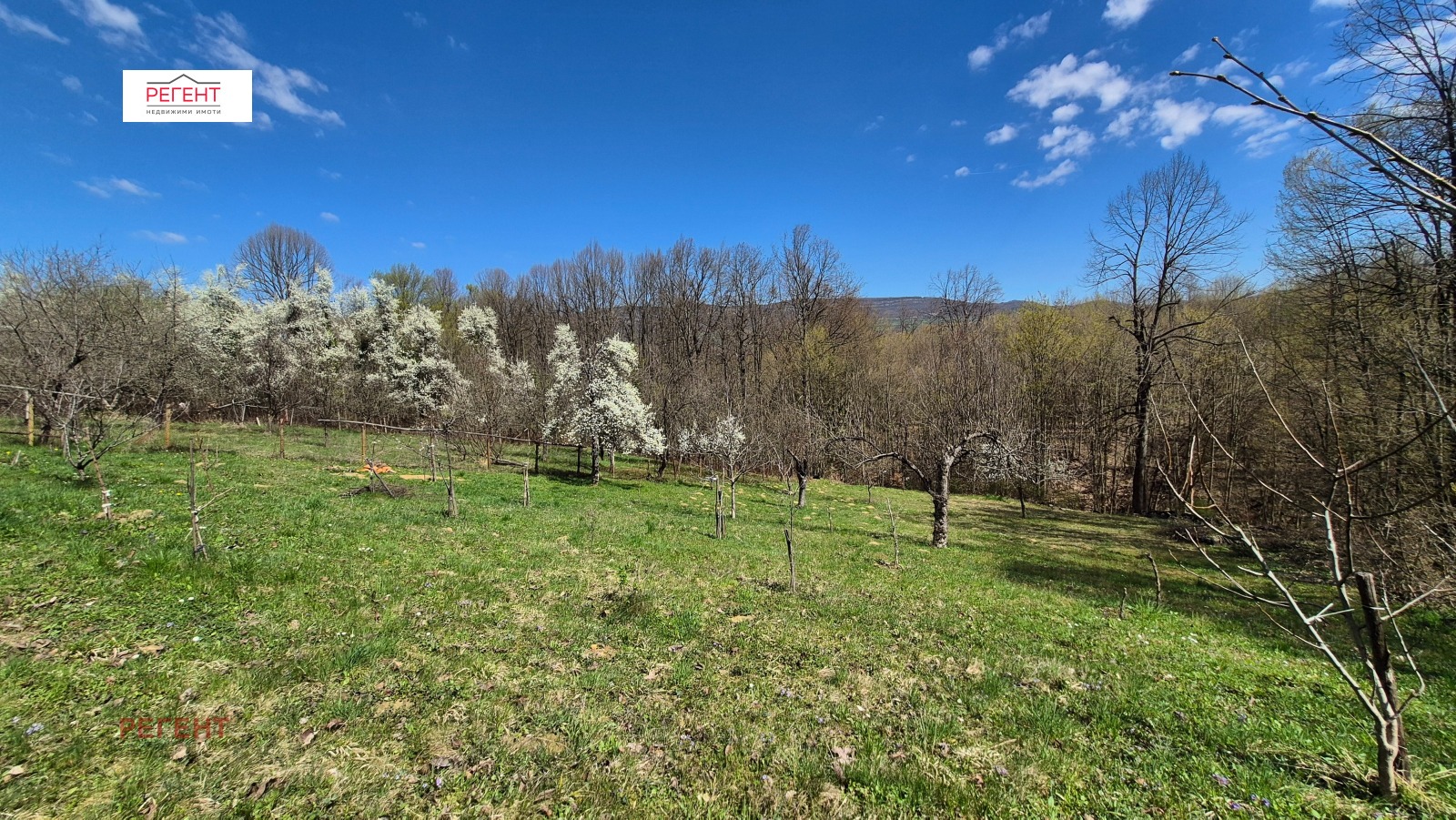 Продава ПАРЦЕЛ, с. Рачевци, област Габрово, снимка 10 - Парцели - 54130818