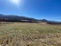 Продава ПАРЦЕЛ, с. Разлив, област София област, снимка 3