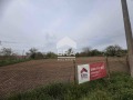 Продава ПАРЦЕЛ, с. Калипетрово, област Силистра, снимка 5