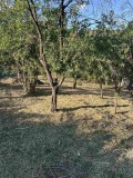 Продава ПАРЦЕЛ, с. Владо Тричков, област София област, снимка 2