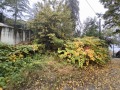 Продава ПАРЦЕЛ, гр. София, Бояна, снимка 4