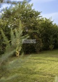 Продава  2-стаен град Пловдив , Отдих и култура , 87 кв.м | 94661450 - изображение [4]