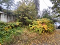 Продава  Парцел град София , Бояна , 1082 кв.м | 35783375 - изображение [3]