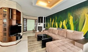 ����� ������� 4-�����,���� �����, ��������