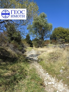 Terra Momtchilovci, região Smolyan 2