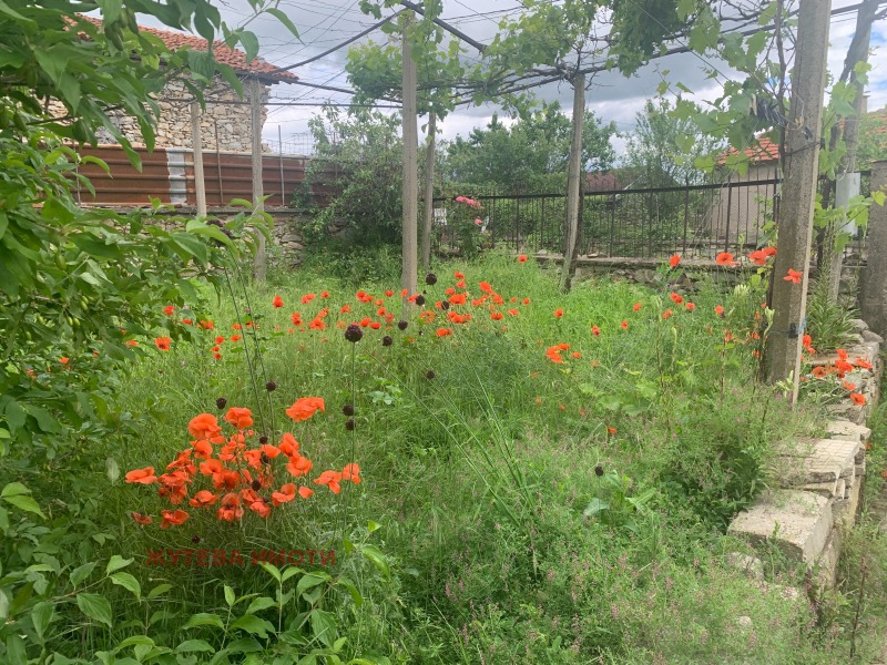 Til salg  Hus region Plovdiv , Karlovo , 500 kvm | 67066710 - billede [3]