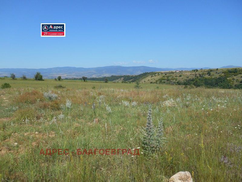 Продава  Парцел област Благоевград , с. Дъбрава , 4006 кв.м | 21819546