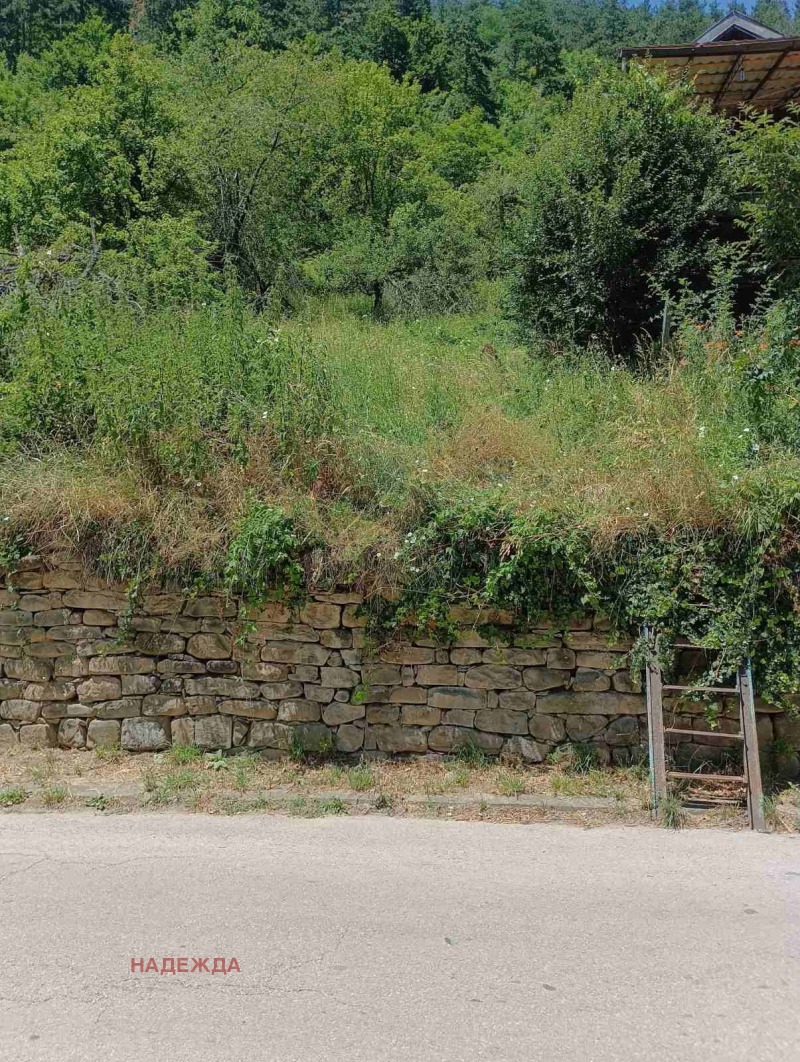 Продава ПАРЦЕЛ, област Ловеч, с. Черни Осъм • 15000 € / 29337.45 лв. • 60975122 1