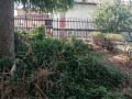 Продава КЪЩА, с. Рогачево, област Добрич, снимка 16
