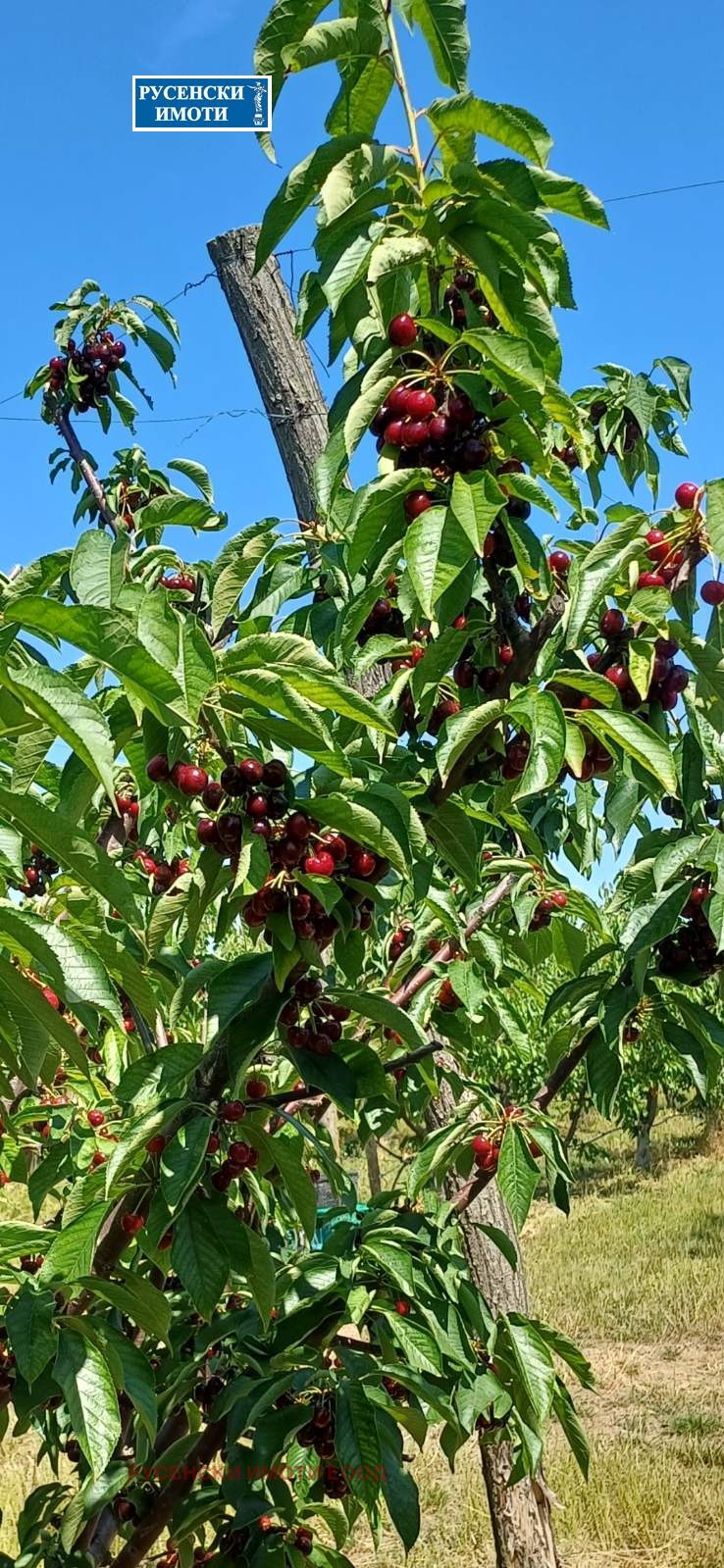 ������� ���������� ���� | Imot.bg � ����������� 2