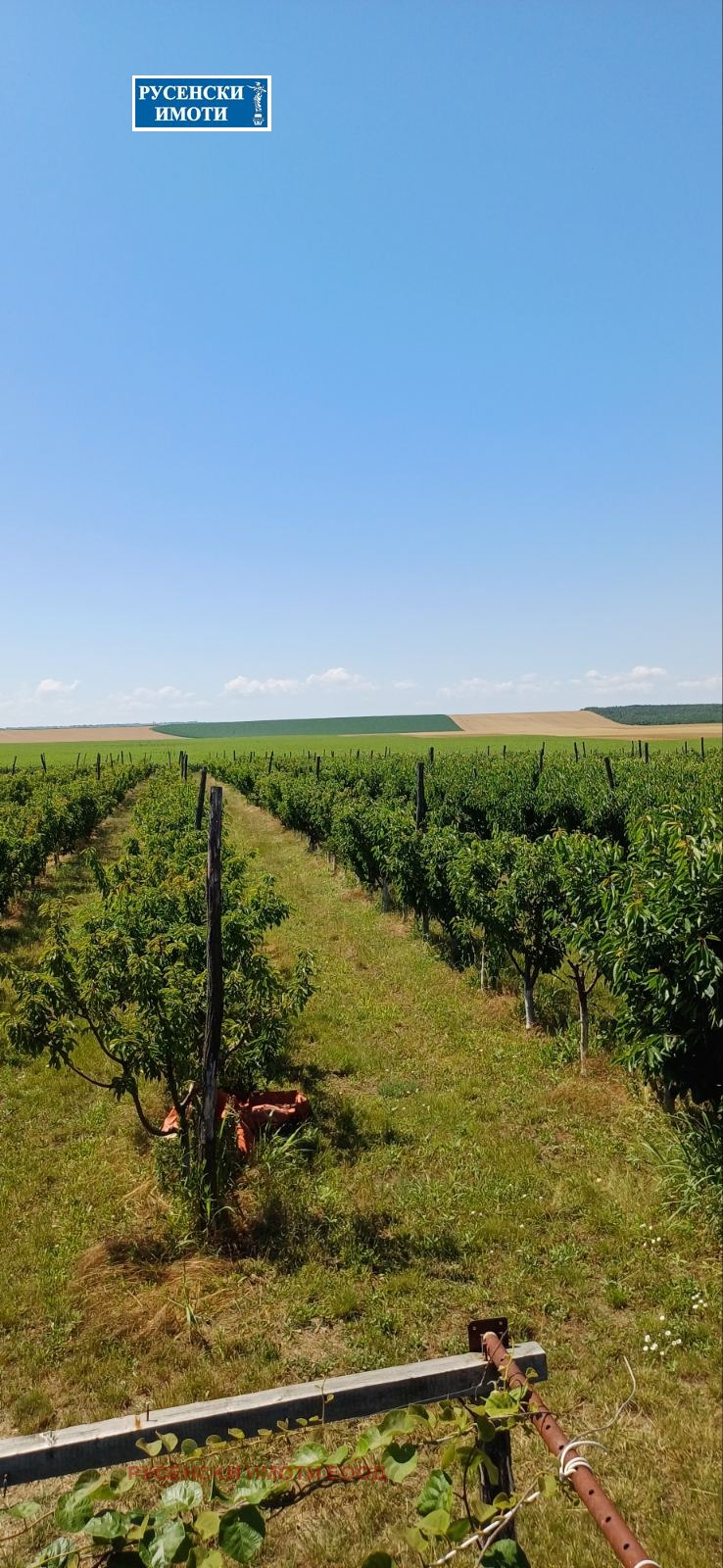 ������� ���������� ���� | Imot.bg � ����������� 1