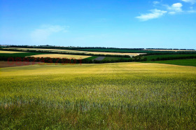 ������ ������� ���������� ����