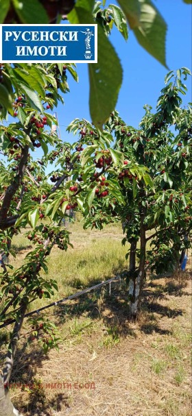 ������� ���������� ���� | Imot.bg � ����� ������ 3