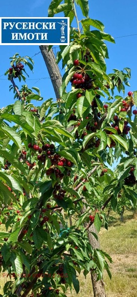 ������� ���������� ���� | Imot.bg � ����� ������ 2