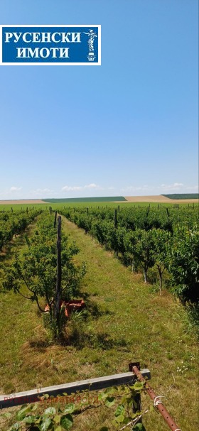 ������ ������� ���������� ����