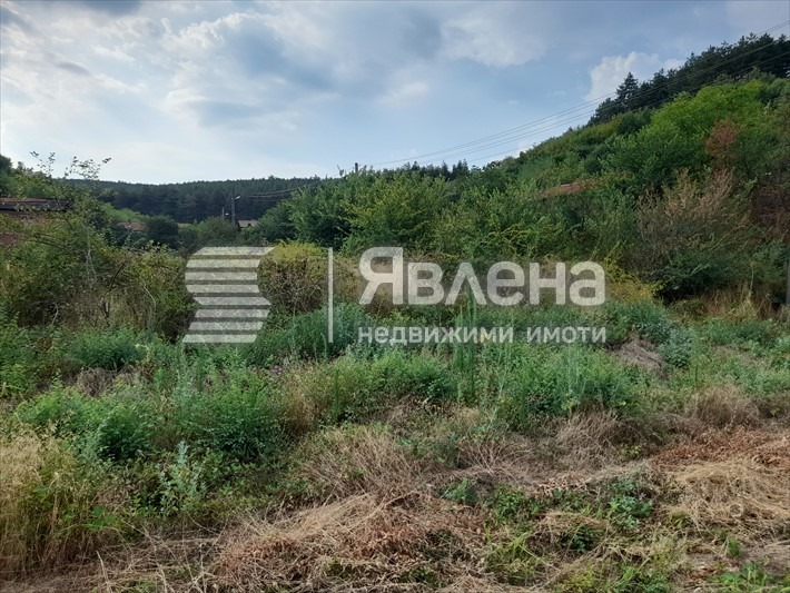 Till salu  Komplott region Pazardzhik , Debrastjica , 946 kvm | 80654619 - bild [4]