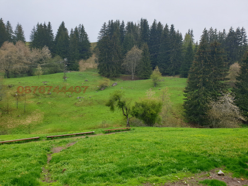 Продава ЗЕМЕДЕЛСКА ЗЕМЯ, с. Гела, област Смолян