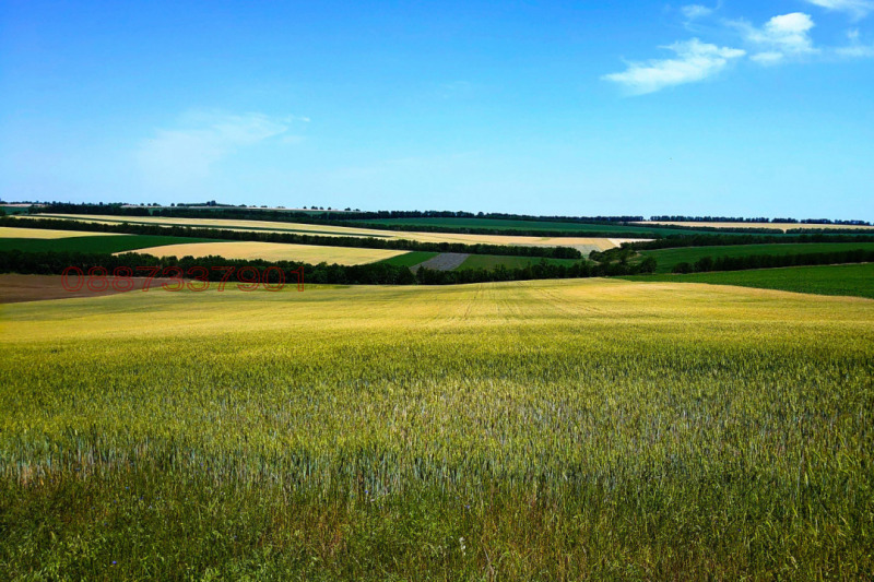 Продава ЗЕМЕДЕЛСКА ЗЕМЯ, с. Череша, област Бургас