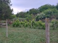 Продава КЪЩА, област Плевен, с. Божурица • 48500 € • 73669829 — Holmes.bg