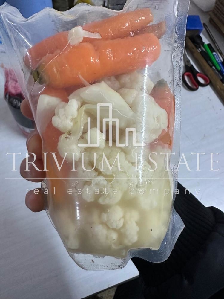 Продава СКЛАД, с. Искра, област Пловдив, снимка 12 - Складове - 53991378