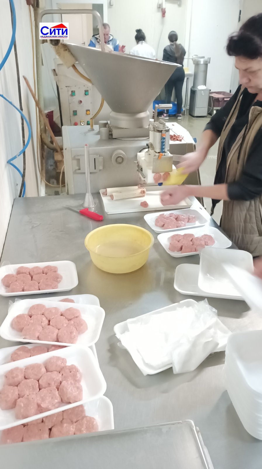 Продава БИЗНЕС ИМОТ, с. Капитан Димитриево, област Пазарджик, снимка 3 - Други - 54952065