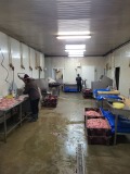 Продава БИЗНЕС ИМОТ, с. Капитан Димитриево, област Пазарджик, снимка 8
