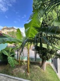 Продава  Хотел област Бургас , гр. Черноморец , 950 кв.м | 84450837 - изображение [6]
