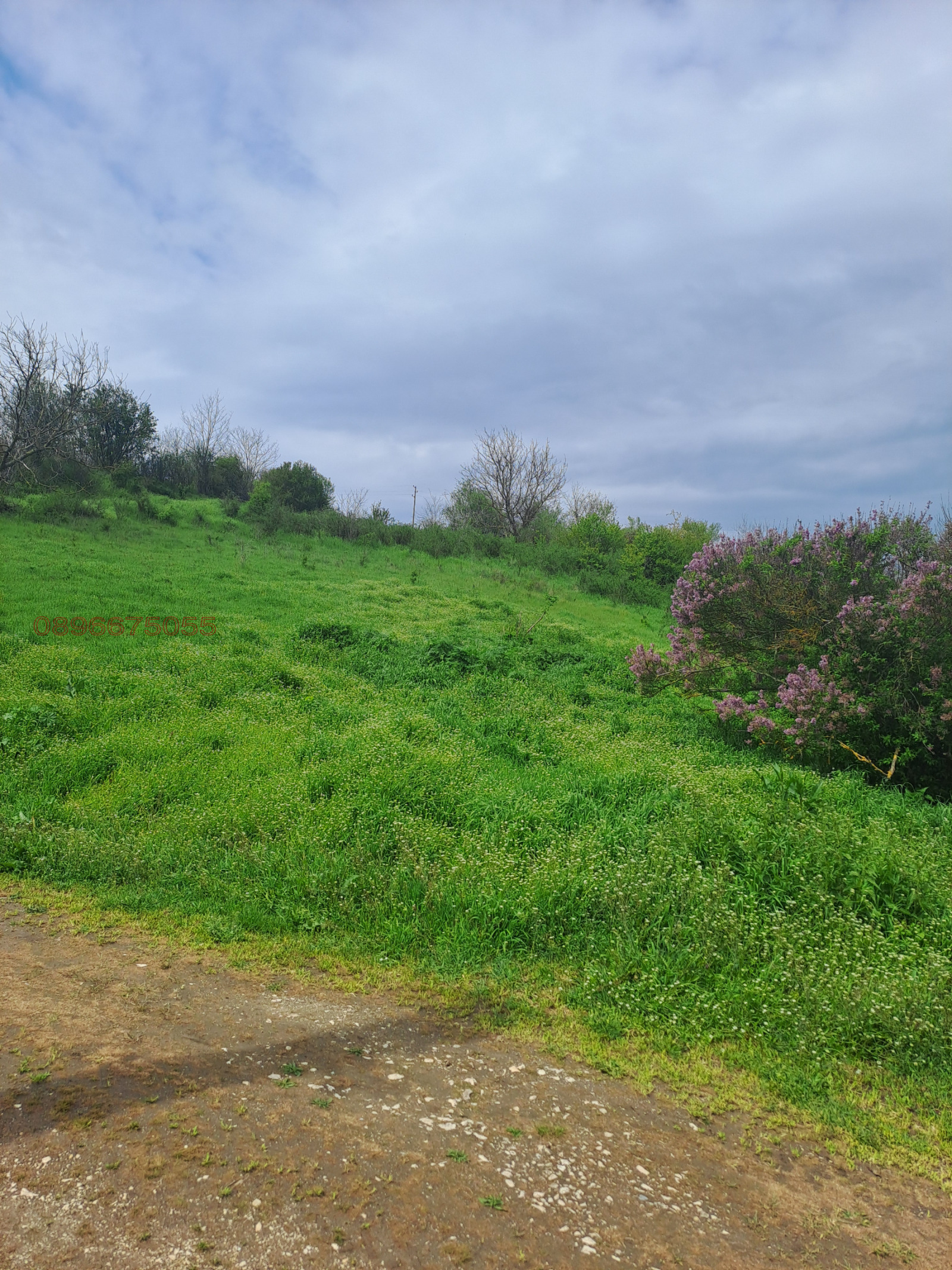 ������� ������ | Imot.bg � ����������� 4