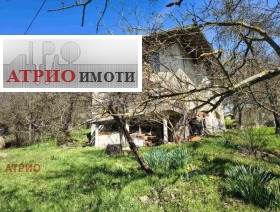 ����� ������� ����,�. ����, ������ �����