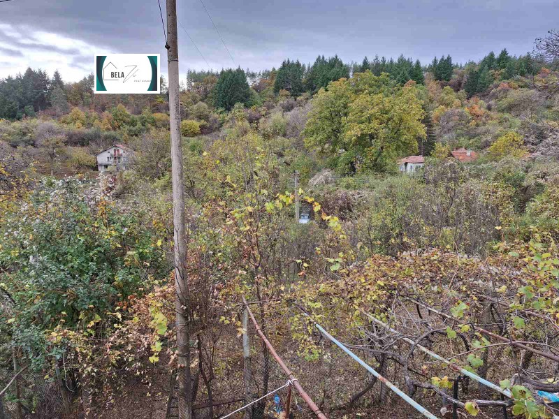 Til salgs  Hus region Kyustendil , Kremenik , 143 kvm | 46622314 - bilde [8]